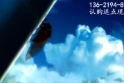 天津武清国投债权转让