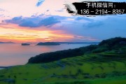 山东枣庄山兴控股2021年债权