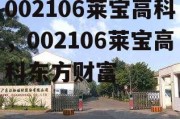 002106莱宝高科，002106莱宝高科东方财富