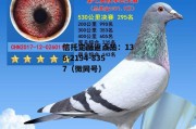 601098，601098千股千评