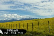 央企信托-251泰州市政信