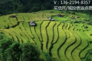 央企信托-3号江苏新沂政信