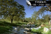 山东基建债权项目