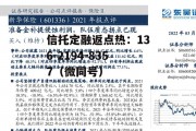 新华保险601336，新华保险601336负债表