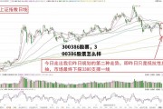 300386股票，300386股票怎么样