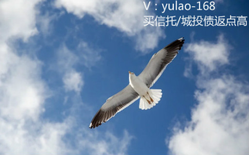 买信托定融有返现