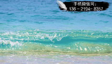 买信托定融有返现