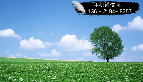 买信托定融有返现