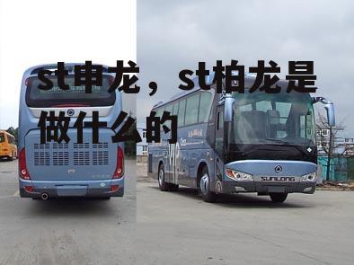 st申龙，st柏龙是做什么的