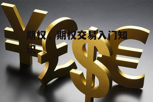 期权，期权交易入门知识