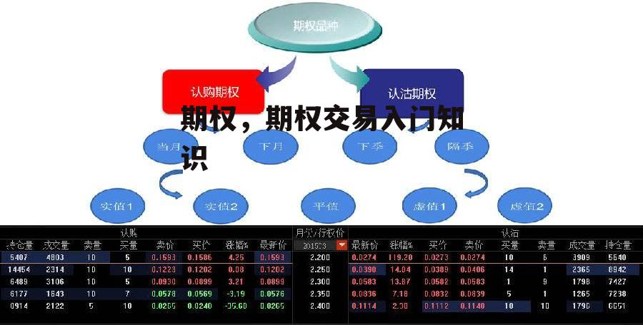 期权，期权交易入门知识