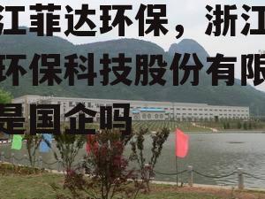 浙江菲达环保，浙江菲达环保科技股份有限公司是国企吗