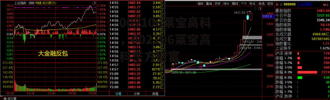 002106莱宝高科，002106莱宝高科东方财富