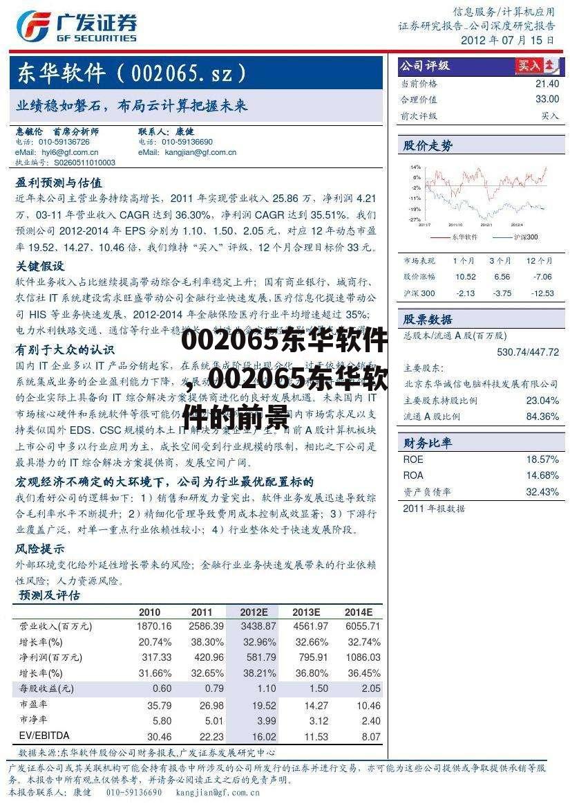 002065东华软件，002065东华软件的前景