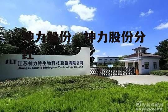 神力股份，神力股份分红