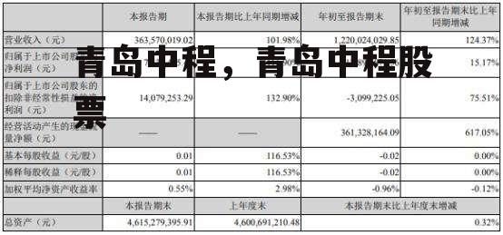 青岛中程，青岛中程股票