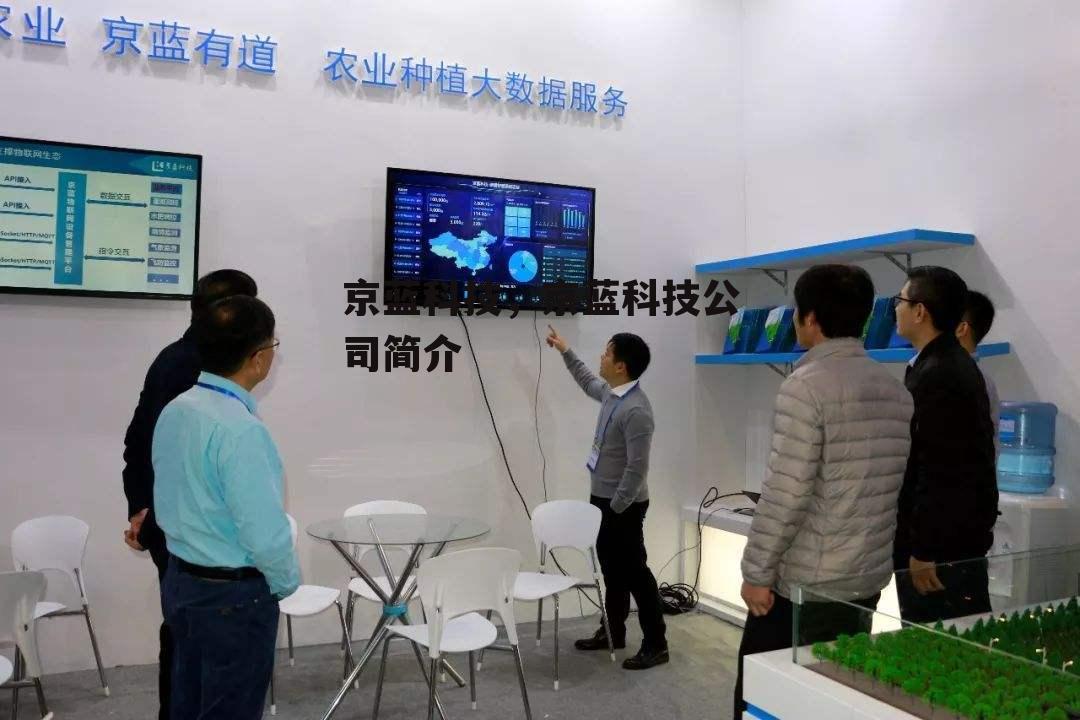 京蓝科技，京蓝科技公司简介