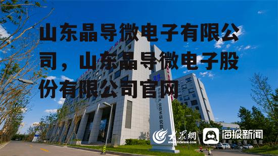 山东晶导微电子有限公司，山东晶导微电子股份有限公司官网