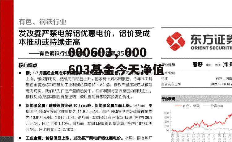 000603，000603基金今天净值