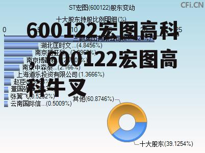 600122宏图高科，600122宏图高科牛叉