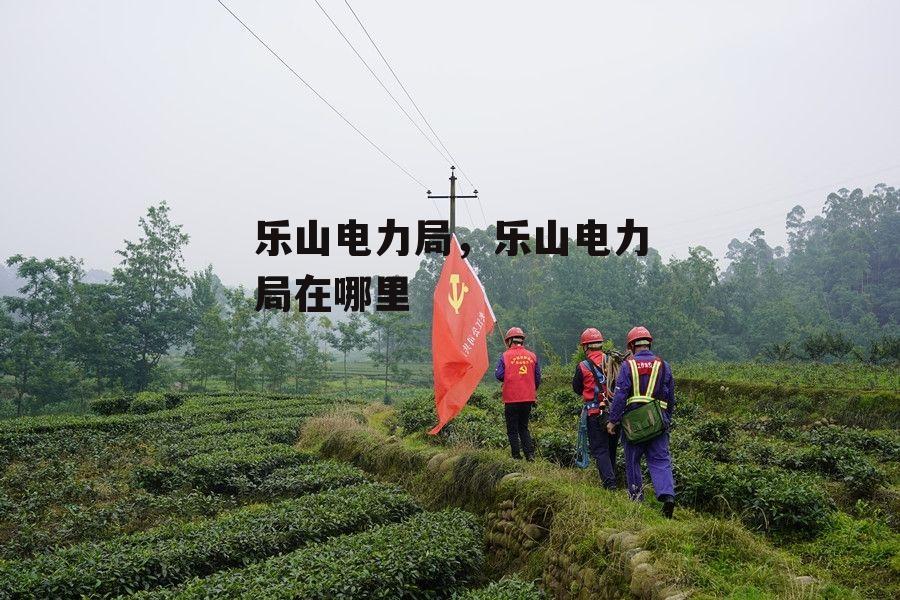 乐山电力局，乐山电力局在哪里