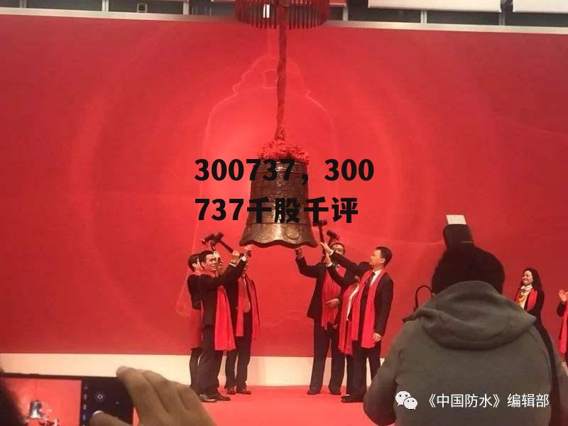 300737，300737千股千评