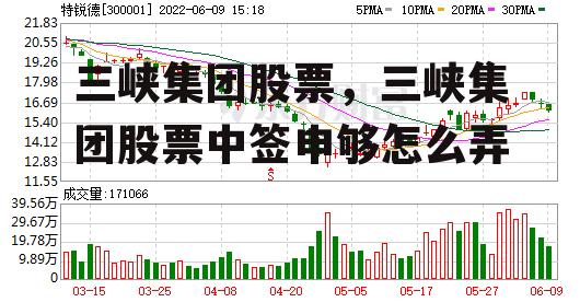 三峡集团股票，三峡集团股票中签申够怎么弄