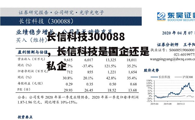 长信科技300088，长信科技是国企还是私企