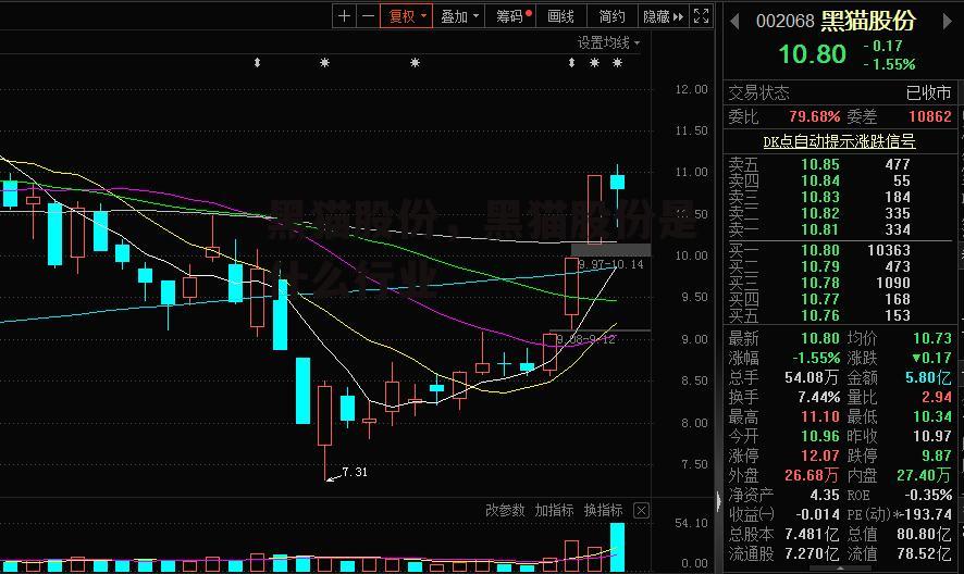 黑猫股份，黑猫股份是什么行业