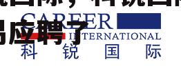 科锐国际，科锐国际太容易应聘了