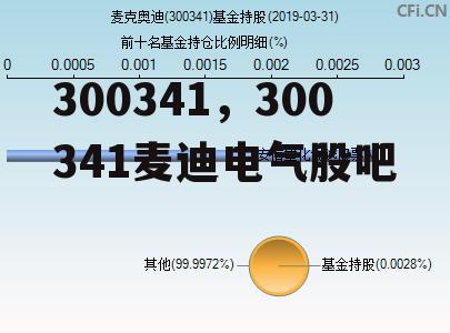 300341，300341麦迪电气股吧