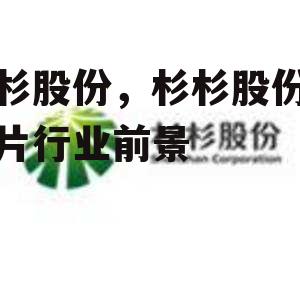 杉杉股份，杉杉股份偏光片行业前景