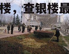 查根楼，查银楼最新持股