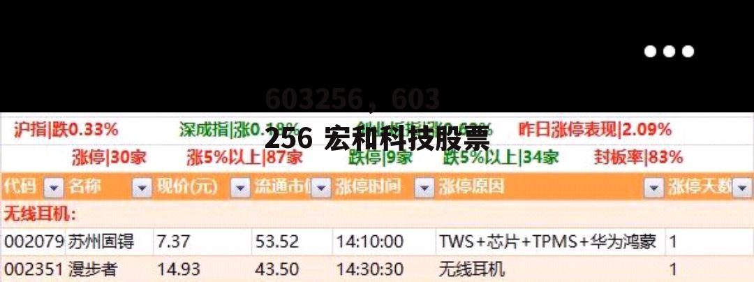 603256，603256 宏和科技股票