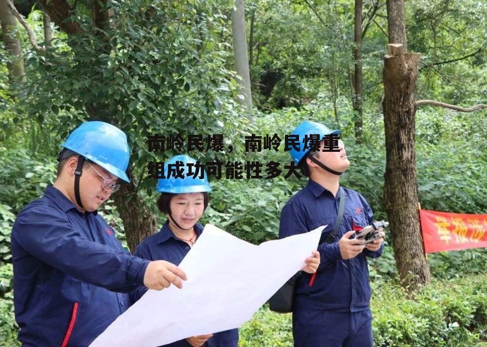 南岭民爆，南岭民爆重组成功可能性多大