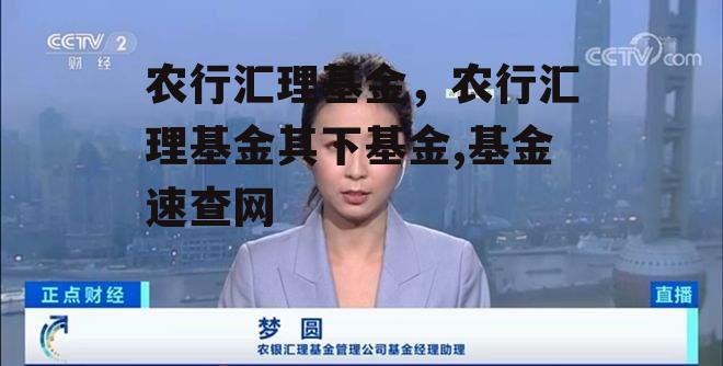 农行汇理基金，农行汇理基金其下基金,基金速查网