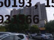 150193，1501931566