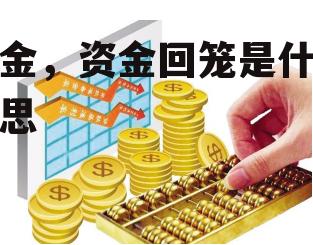 资金，资金回笼是什么意思