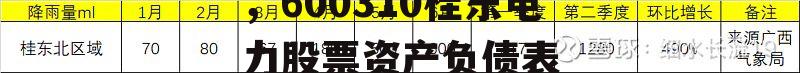 600310桂东电力，600310桂东电力股票资产负债表