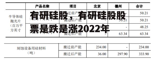 有研硅股，有研硅股股票是跌是涨2022年