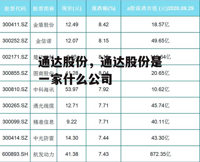 通达股份，通达股份是一家什么公司