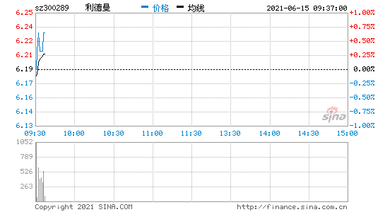 300289利德曼的简单介绍