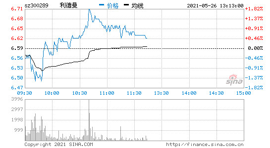 300289利德曼的简单介绍