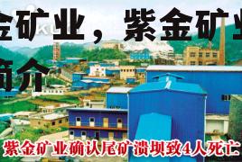 资金矿业，紫金矿业公司简介