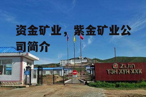 资金矿业，紫金矿业公司简介