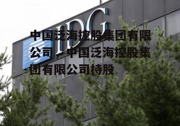 中国泛海控股集团有限公司，中国泛海控股集团有限公司持股