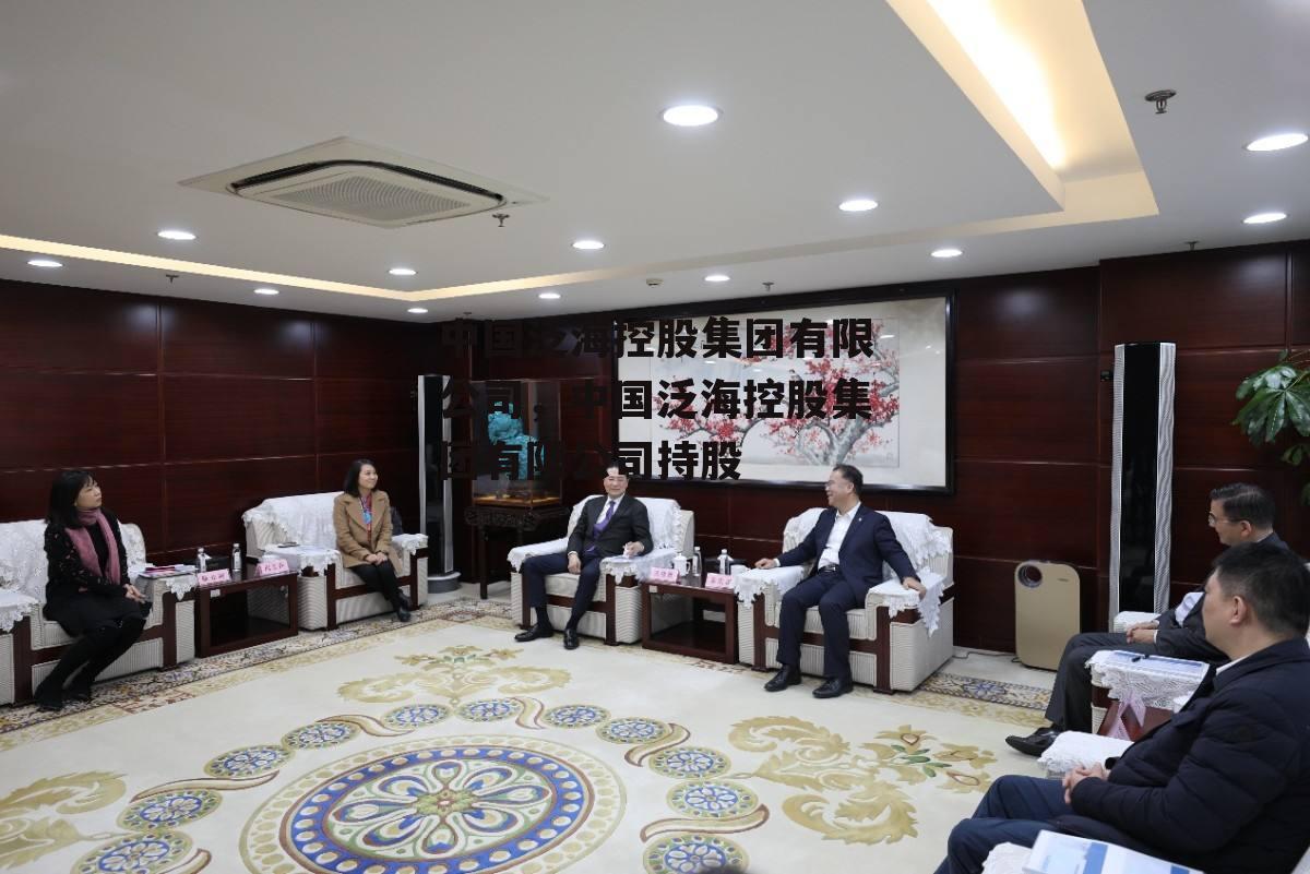 中国泛海控股集团有限公司，中国泛海控股集团有限公司持股