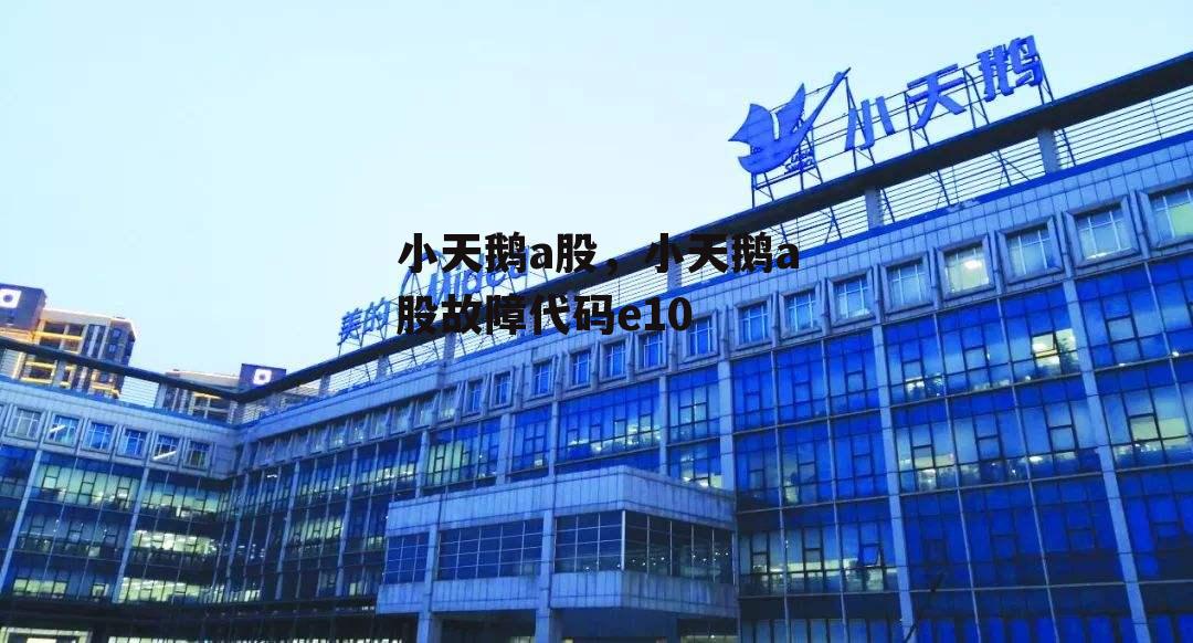小天鹅a股，小天鹅a股故障代码e10