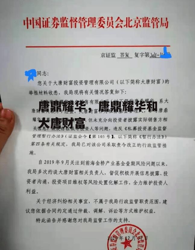 唐鼎耀华，唐鼎耀华和大唐财富