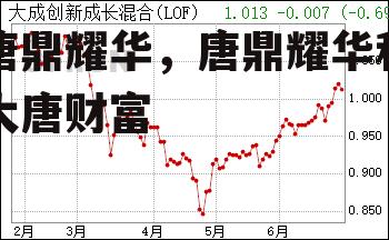 唐鼎耀华，唐鼎耀华和大唐财富